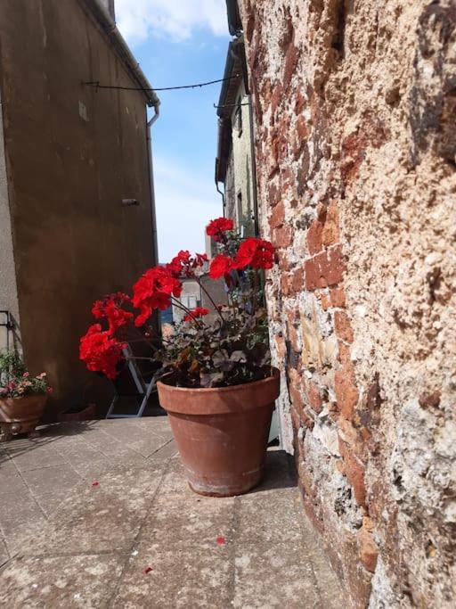 Casa Il Girasole Villa Boccheggiano Exterior photo