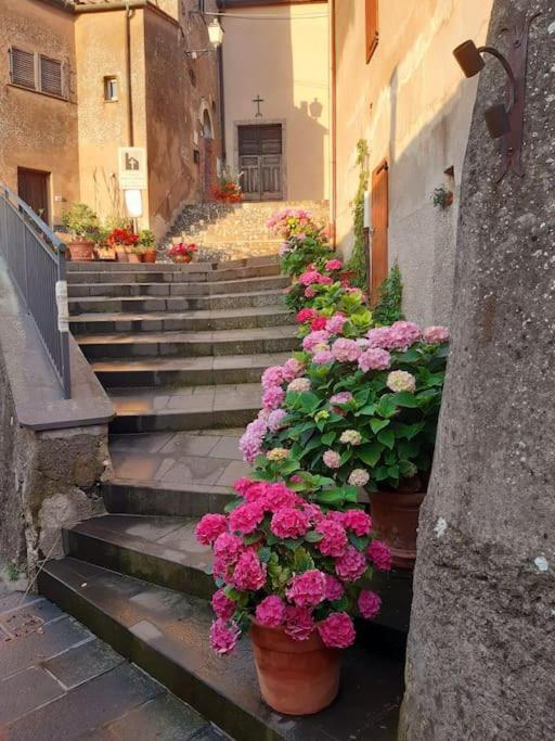 Casa Il Girasole Villa Boccheggiano Exterior photo